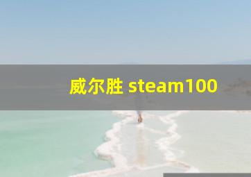 威尔胜 steam100